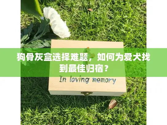 狗骨灰盒选择难题，如何为爱犬找到最佳归宿？