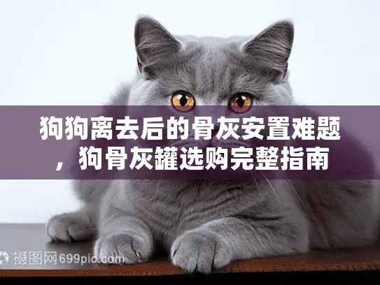 狗狗离去后的骨灰安置难题，狗骨灰罐选购完整指南