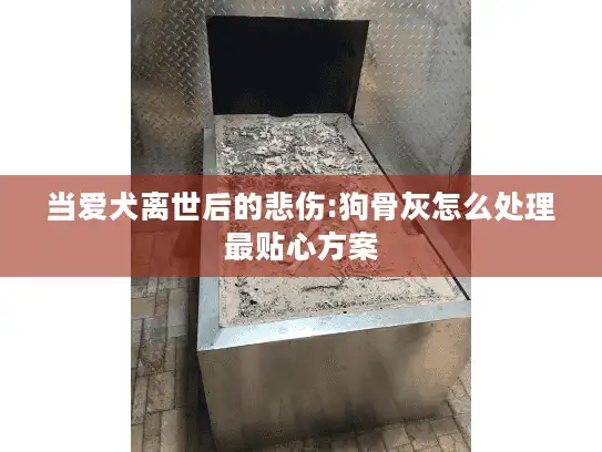 当爱犬离世后的悲伤:狗骨灰怎么处理最贴心方案