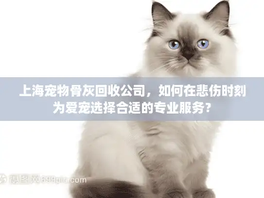 上海宠物骨灰回收公司，如何在悲伤时刻为爱宠选择合适的专业服务？