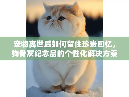 宠物离世后如何留住珍贵回忆，狗骨灰纪念品的个性化解决方案
