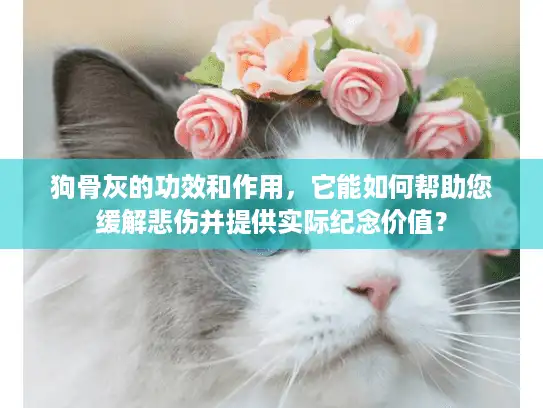 狗骨灰的功效和作用，它能如何帮助您缓解悲伤并提供实际纪念价值？