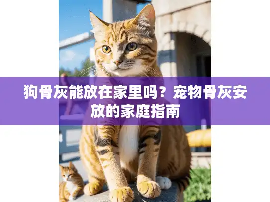 狗骨灰能放在家里吗？宠物骨灰安放的家庭指南