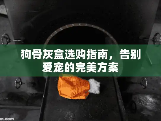 狗骨灰盒选购指南，告别爱宠的完美方案
