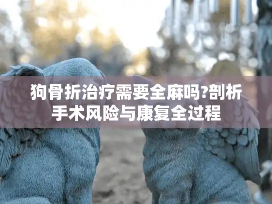 狗骨折治疗需要全麻吗?剖析手术风险与康复全过程