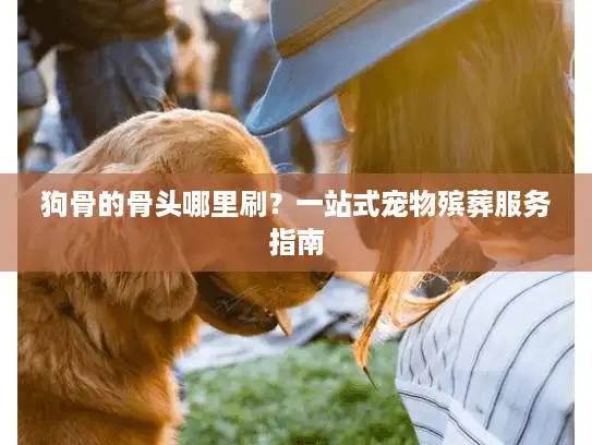 狗骨的骨头哪里刷？一站式宠物殡葬服务指南
