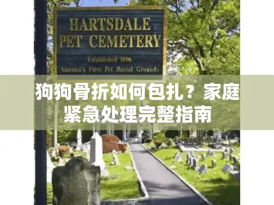 狗狗骨折如何包扎？家庭紧急处理完整指南