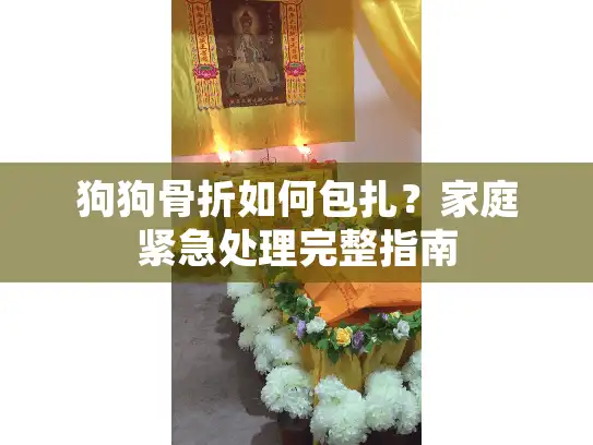 狗狗骨折如何包扎？家庭紧急处理完整指南