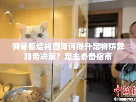 狗骨骼结构图如何提升宠物殡葬服务决策？宠主必备指南