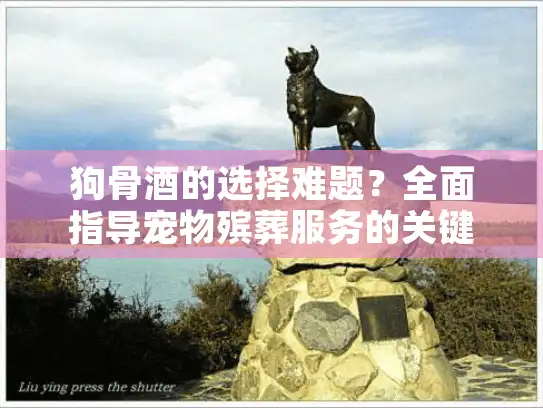 狗骨酒的选择难题？全面指导宠物殡葬服务的关键决策