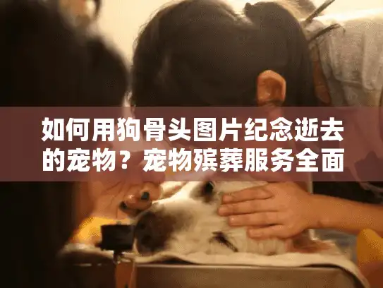 如何用狗骨头图片纪念逝去的宠物？宠物殡葬服务全面指南