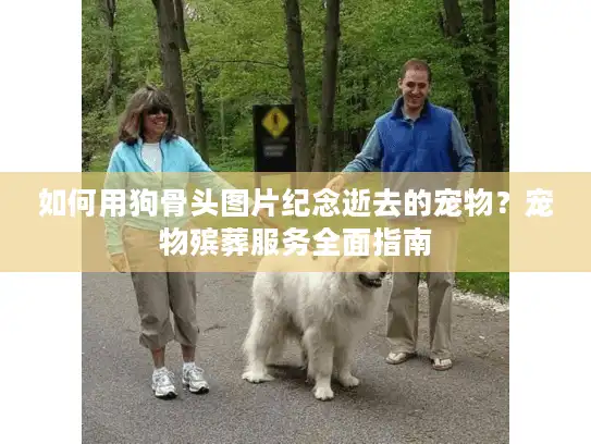 如何用狗骨头图片纪念逝去的宠物？宠物殡葬服务全面指南