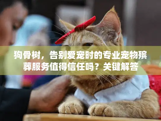 狗骨树，告别爱宠时的专业宠物殡葬服务值得信任吗？关键解答