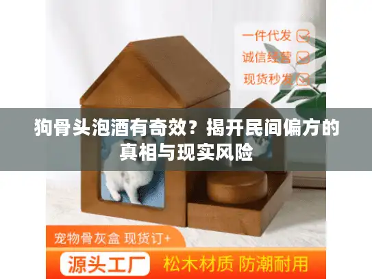 狗骨头泡酒有奇效？揭开民间偏方的真相与现实风险