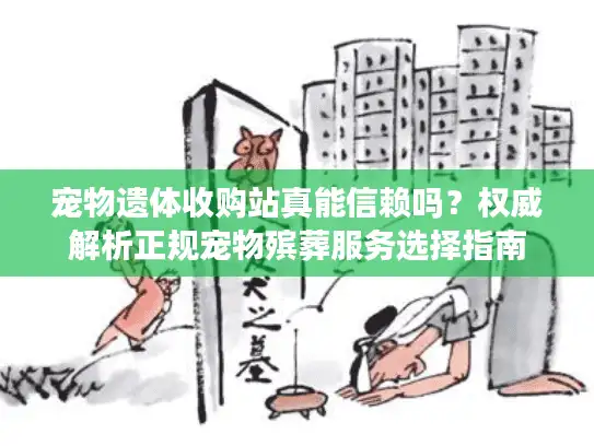 宠物遗体收购站真能信赖吗？权威解析正规宠物殡葬服务选择指南