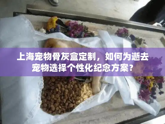 上海宠物骨灰盒定制，如何为逝去宠物选择个性化纪念方案？