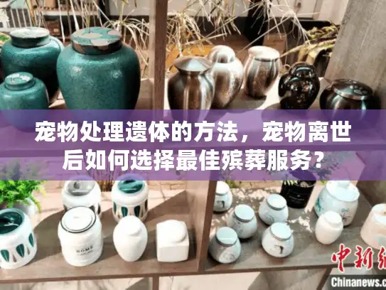 宠物处理遗体的方法，宠物离世后如何选择最佳殡葬服务？