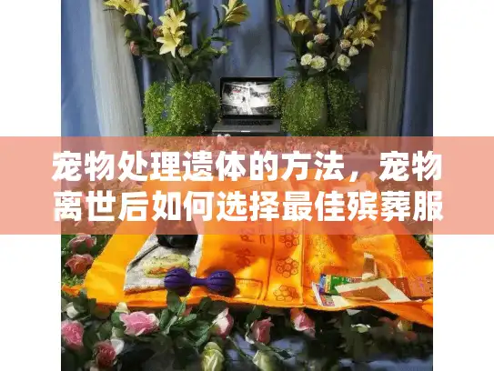 宠物处理遗体的方法，宠物离世后如何选择最佳殡葬服务？