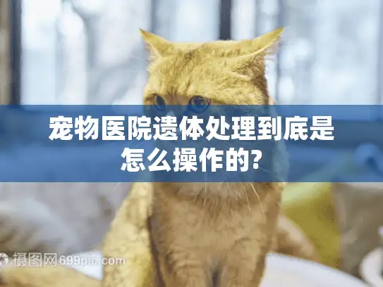 宠物医院遗体处理到底是怎么操作的?