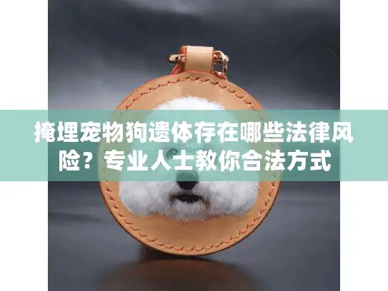 掩埋宠物狗遗体存在哪些法律风险？专业人士教你合法方式