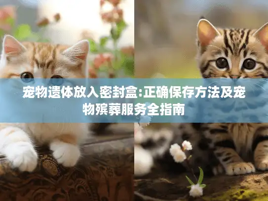 宠物遗体放入密封盒:正确保存方法及宠物殡葬服务全指南