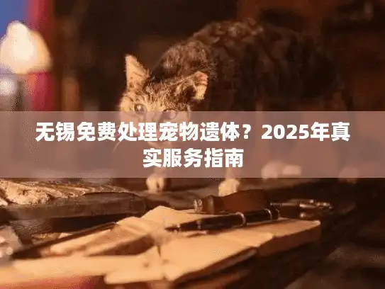 无锡免费处理宠物遗体？2025年真实服务指南