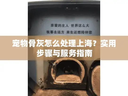 宠物骨灰怎么处理上海？实用步骤与服务指南