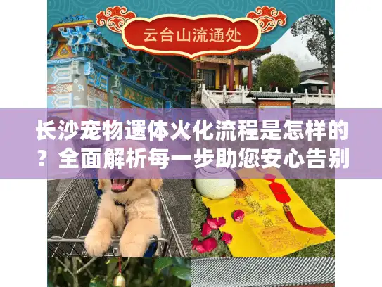 长沙宠物遗体火化流程是怎样的？全面解析每一步助您安心告别
