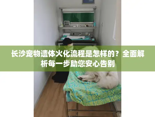 长沙宠物遗体火化流程是怎样的？全面解析每一步助您安心告别