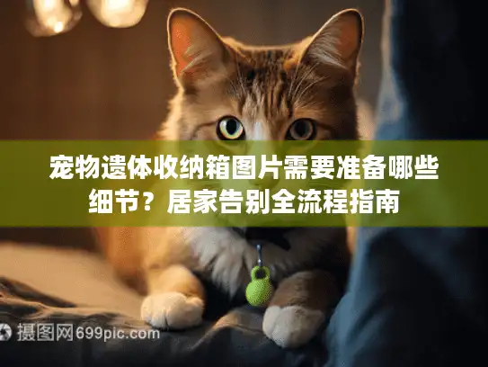 宠物遗体收纳箱图片需要准备哪些细节？居家告别全流程指南