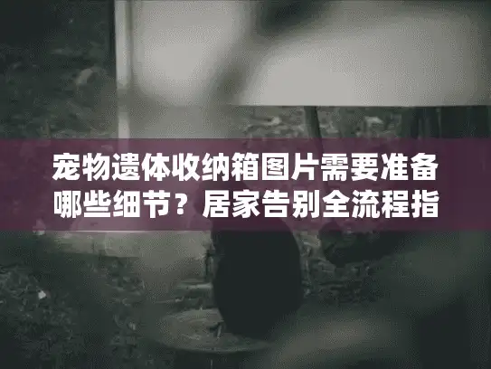 宠物遗体收纳箱图片需要准备哪些细节？居家告别全流程指南