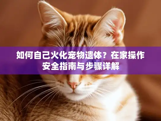 如何自己火化宠物遗体？在家操作安全指南与步骤详解