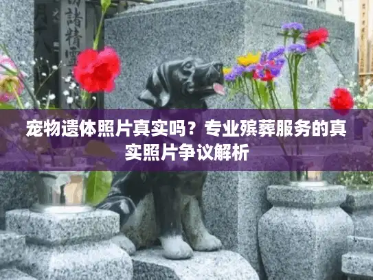 宠物遗体照片真实吗？专业殡葬服务的真实照片争议解析