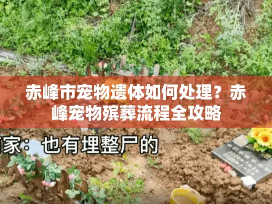 赤峰市宠物遗体如何处理？赤峰宠物殡葬流程全攻略