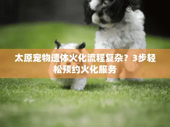 太原宠物遗体火化流程复杂？3步轻松预约火化服务