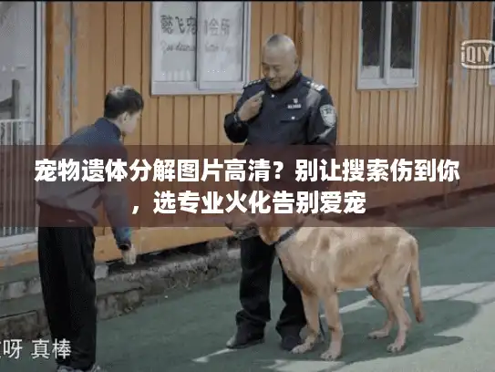 宠物遗体分解图片高清？别让搜索伤到你，选专业火化告别爱宠