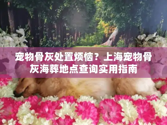 宠物骨灰处置烦恼？上海宠物骨灰海葬地点查询实用指南