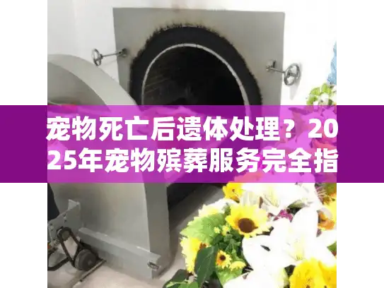 宠物死亡后遗体处理？2025年宠物殡葬服务完全指南