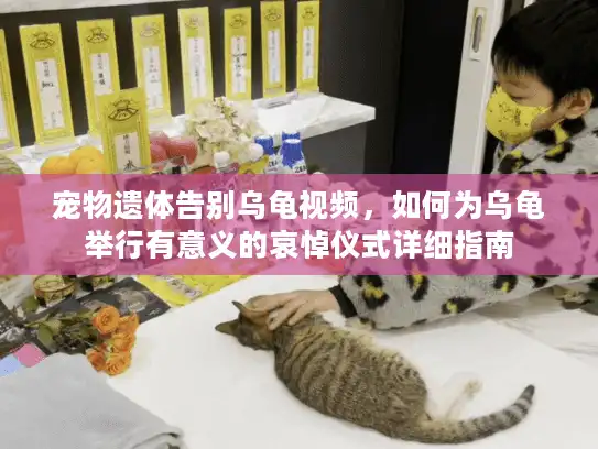 宠物遗体告别乌龟视频，如何为乌龟举行有意义的哀悼仪式详细指南