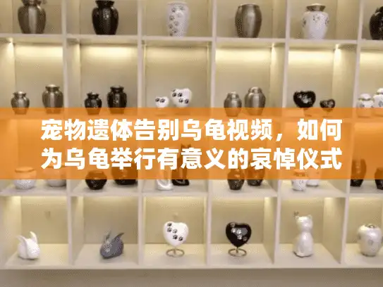宠物遗体告别乌龟视频，如何为乌龟举行有意义的哀悼仪式详细指南