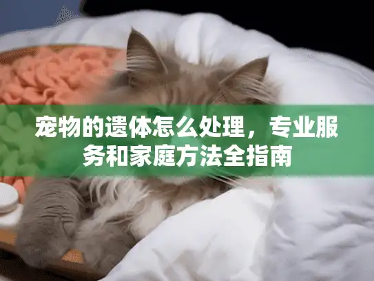 宠物的遗体怎么处理，专业服务和家庭方法全指南
