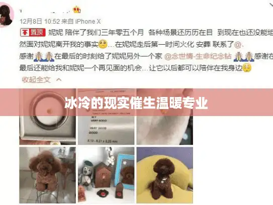 冰冷的现实催生温暖专业
