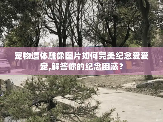 宠物遗体雕像图片如何完美纪念爱爱宠,解答你的纪念困惑？