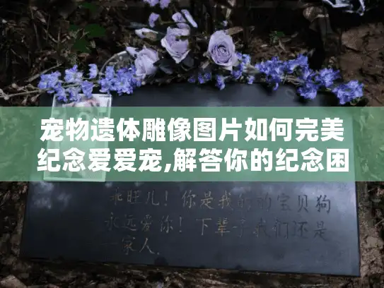 宠物遗体雕像图片如何完美纪念爱爱宠,解答你的纪念困惑？