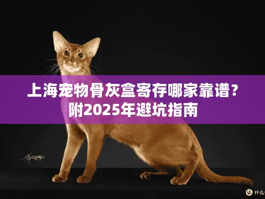 上海宠物骨灰盒寄存哪家靠谱？附2025年避坑指南