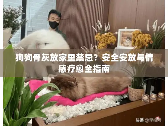 狗狗骨灰放家里禁忌？安全安放与情感疗愈全指南