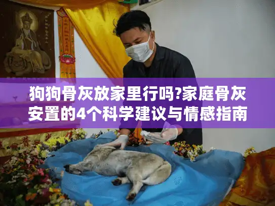 狗狗骨灰放家里行吗?家庭骨灰安置的4个科学建议与情感指南