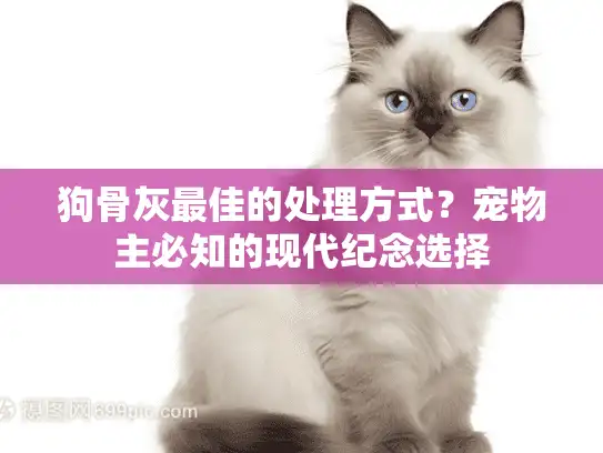 狗骨灰最佳的处理方式？宠物主必知的现代纪念选择
