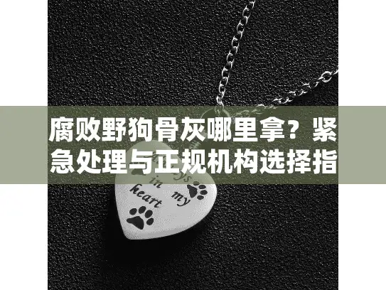 腐败野狗骨灰哪里拿？紧急处理与正规机构选择指南
