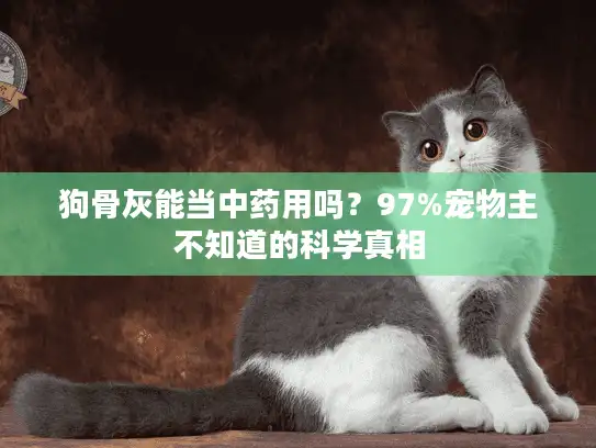 狗骨灰能当中药用吗？97%宠物主不知道的科学真相